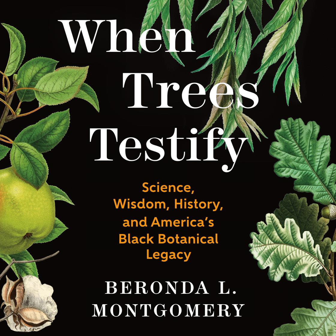 View audiobook of When Trees Testify by Beronda L. Montgomery