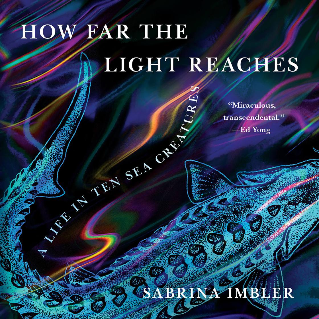 View audiobook of How Far the Light Reaches by Sabrina Imbler
