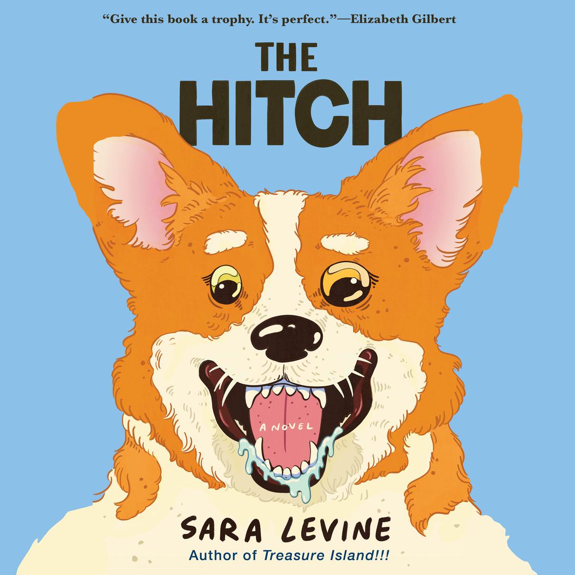 View audiobook of The Hitch by Sara Levine